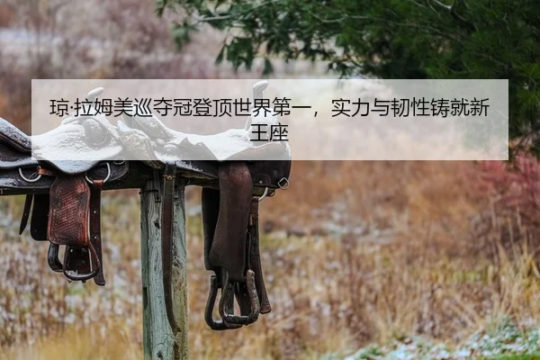 琼·拉姆美巡夺冠登顶世界第一，实力与韧性铸就新王座