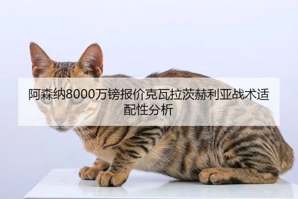 a-sen-na-wan-bang-bao-jia-ke-wa-la-ci-he-li-ya-zhan-shu-shi-pei-xing-fen-xi-2-105.jpg