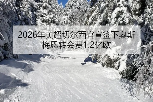 2026年英超切尔西官宣签下奥斯梅恩转会费1.2亿欧